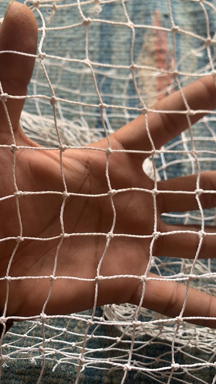 Pigeon Net Installation